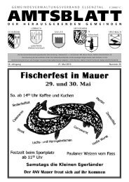 Amtsblatt vom 21.05.10 - Meckesheim