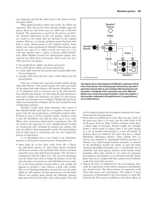 Encyclopedia of Evolution.pdf - Online Reading Center