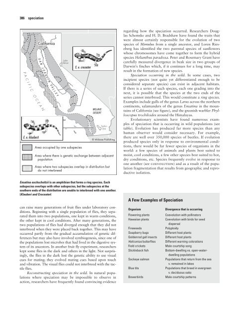 Encyclopedia of Evolution.pdf - Online Reading Center