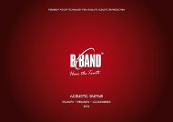 ACOUSTIC GUITAR - B-Band