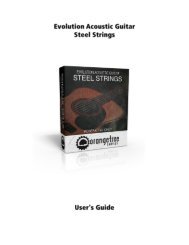 Evolution Acoustic Guitar Steel Strings - User's Guide - Orange Tree ...