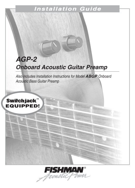 Acoustic guitar 2024 onboard preamp