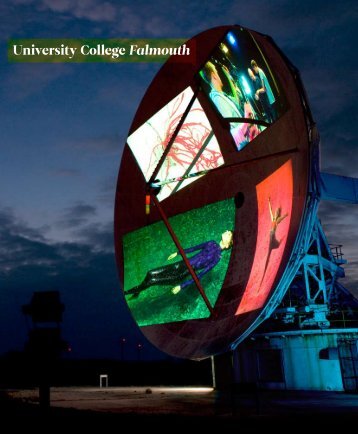 Download a PDF of the Falmouth Foundation - University College ...