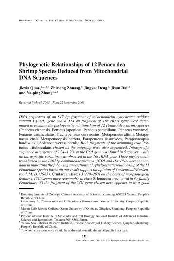 Phylogenetic Relationships of 12 Penaeoidea Shrimp Species ...