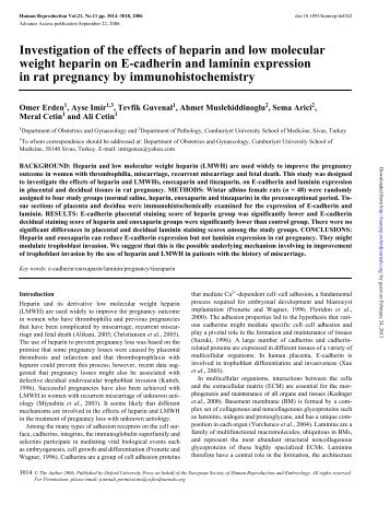 Investigation of the effects of heparin and low molecular weight ...