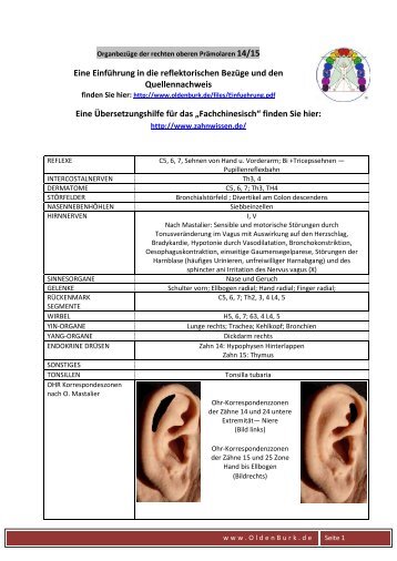 Organbezug Zähne 15/14 | PDF 143 KB - Dr. med. dent. Wolfgang ...