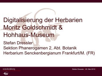 Digitalisierung der Herbarien Moritz Goldschmidt & Hohhaus-Museum