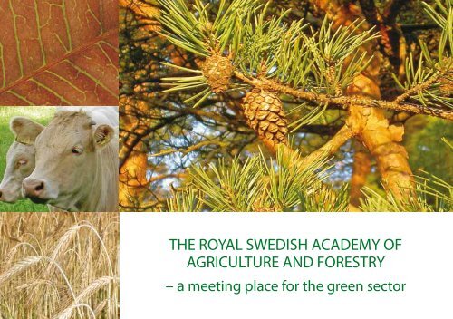 the royal swedish academy of agriculture and forestry