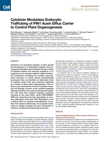 Cytokinin Modulates Endocytic Trafficking of PIN1 Auxin Efflux - Ceitec