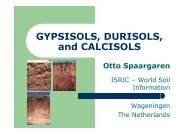 GYPSISOLS, DURISOLS, and CALCISOLS