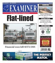 The Examiner January 19th Issue