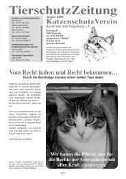 Tierschutzzeitung, Ausgabe 04/2006 - KatzenschutzVerein ...