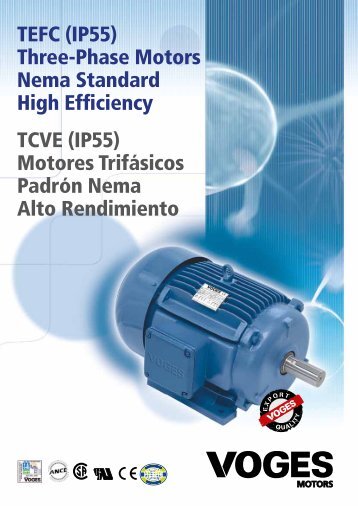 TEFC (IP55) Three-Phase Motors Nema Standard High Efficiency ...