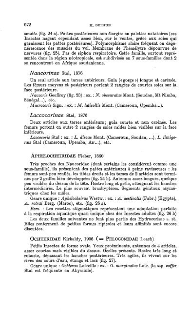 Morphologie sommaire - IRD