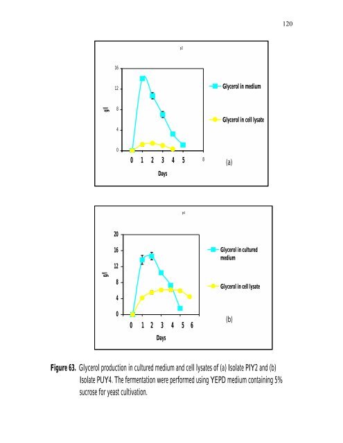 PRODUCTION Of NUTRIENT SOURCES FOR RHIZOBIUM