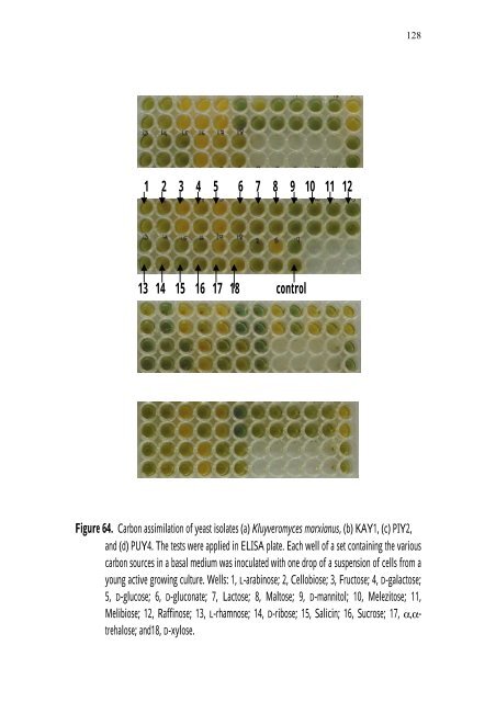 PRODUCTION Of NUTRIENT SOURCES FOR RHIZOBIUM