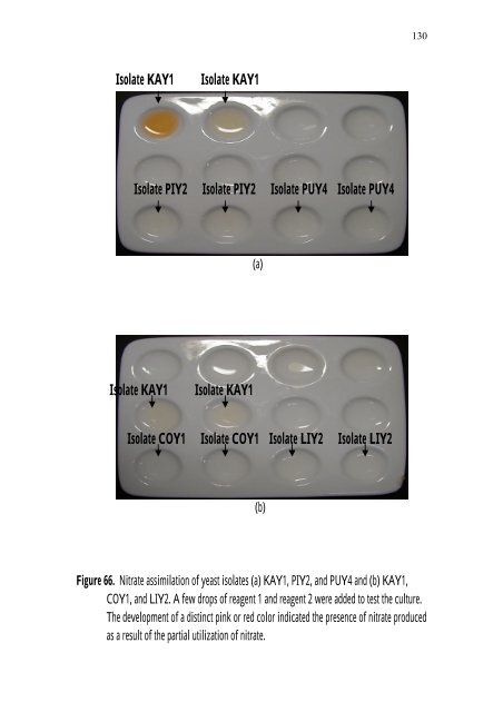 PRODUCTION Of NUTRIENT SOURCES FOR RHIZOBIUM