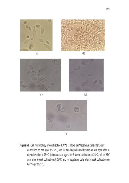 PRODUCTION Of NUTRIENT SOURCES FOR RHIZOBIUM