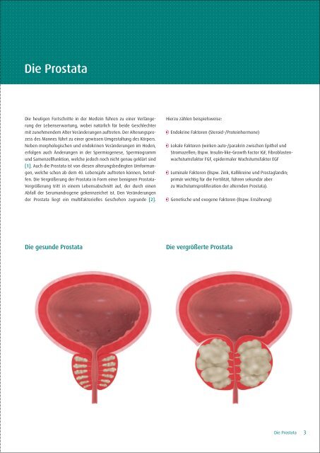 Fachinformationen zu aminoplus prostat - Kyberg Vital