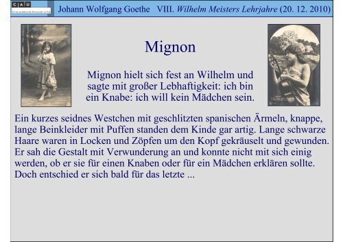 Johann Wolfgang Goethe VIII. Wilhelm Meisters Lehrjahre