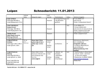 Schneebericht Lam 11.01.2013