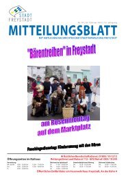 Ausgabe als PDF (26 MB) - Stadt Freystadt