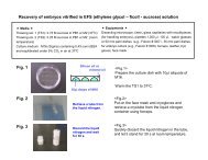 Recovery of embryos vitrified in EFS (ethylene glycol – ficoll ...