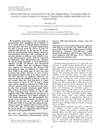 photosynthetic insensitivity of the terrestrial cy...