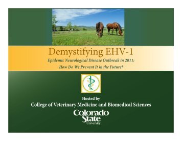 View the presentation slides - Veterinary Teaching Hospital