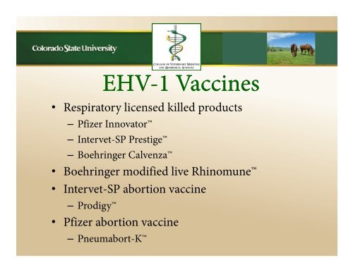 View the presentation slides - Veterinary Teaching Hospital