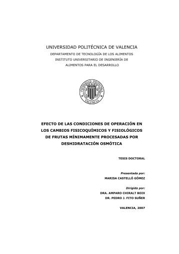 UNIVERSIDAD POLITÉCNICA DE VALENCIA - RiuNet - UPV