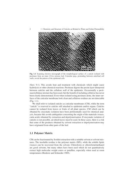 Water and Solute Permeability of Plant Cuticles: Measurement and ...