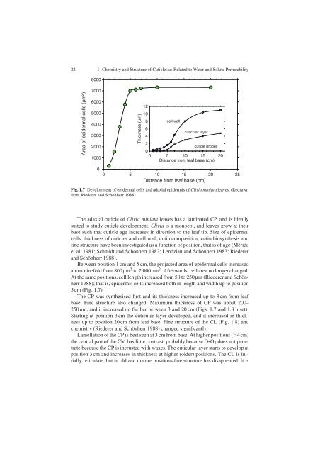 Water and Solute Permeability of Plant Cuticles: Measurement and ...