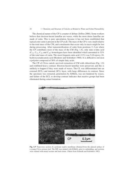 Water and Solute Permeability of Plant Cuticles: Measurement and ...