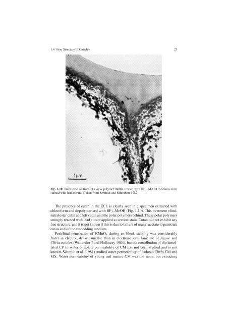 Water and Solute Permeability of Plant Cuticles: Measurement and ...