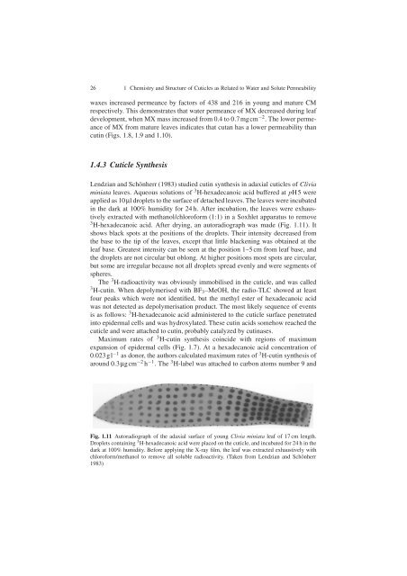 Water and Solute Permeability of Plant Cuticles: Measurement and ...