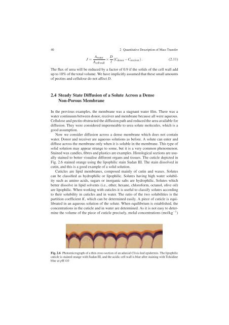 Water and Solute Permeability of Plant Cuticles: Measurement and ...