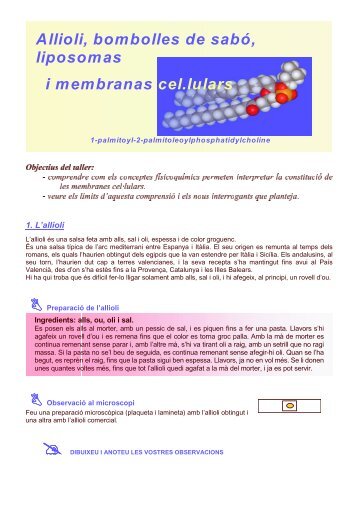 Allioli, bombolles de sab liposomas i membranas cel.lulars
