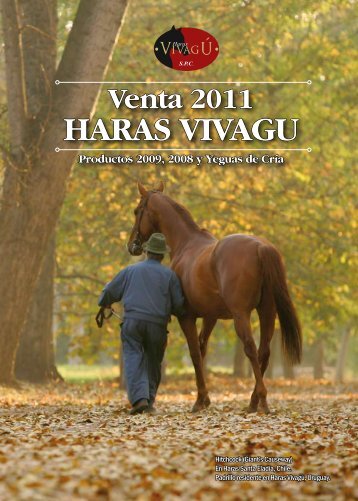 HARAS VIVAGU - Haras VivagÚ SPC