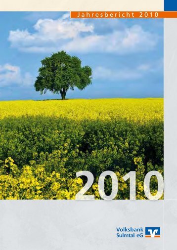 Jahresbericht 2010 - Volksbank Sulmtal eG
