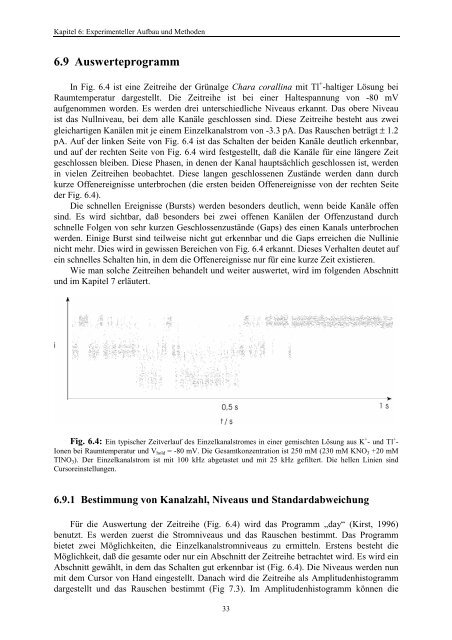 Auflösung des schnellen Schaltens bei Patch-Clamp Untersuchungen