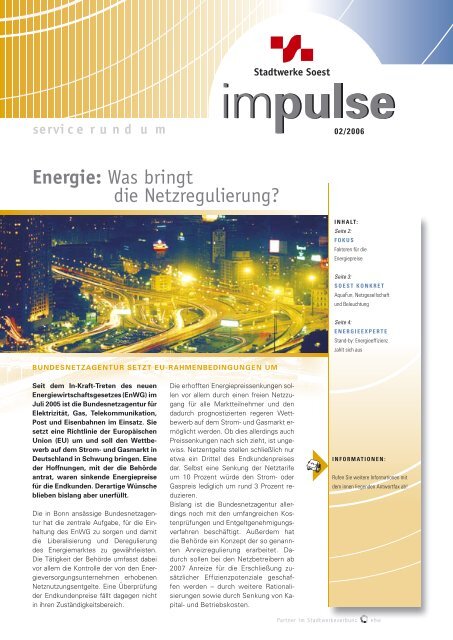 Energie: Was bringt die Netzregulierung? - Stadtwerke Soest