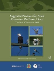 Suggested Practices for Avian Protection on Power Lines