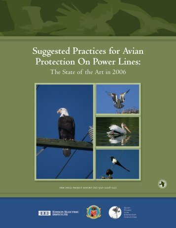 Suggested Practices for Avian Protection on Power Lines