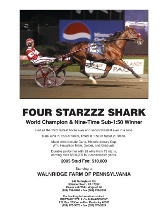 FOUR STARZZZ SHARK - Brittany Farms