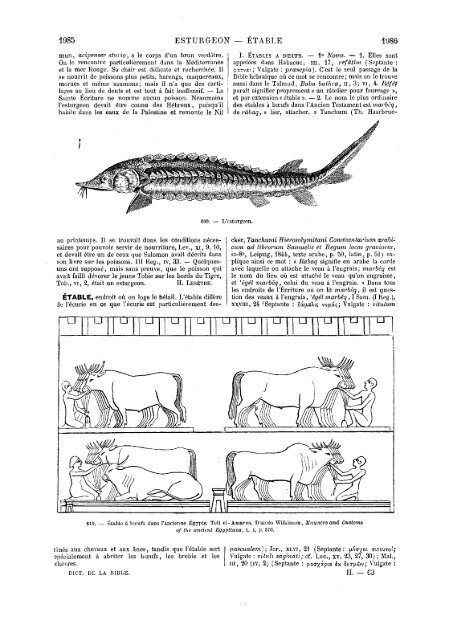 s dans les Saintes - Encyclopaedia Gentium Boni