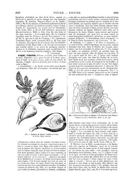 s dans les Saintes - Encyclopaedia Gentium Boni