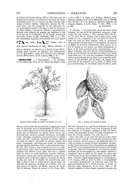 s dans les Saintes - Encyclopaedia Gentium Boni