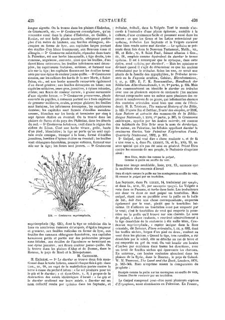 s dans les Saintes - Encyclopaedia Gentium Boni