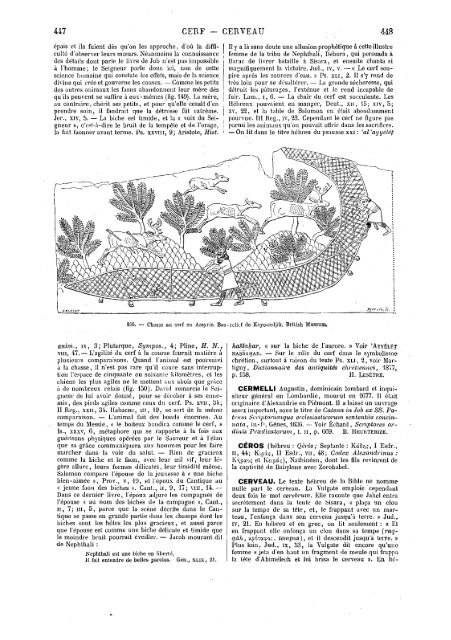 s dans les Saintes - Encyclopaedia Gentium Boni